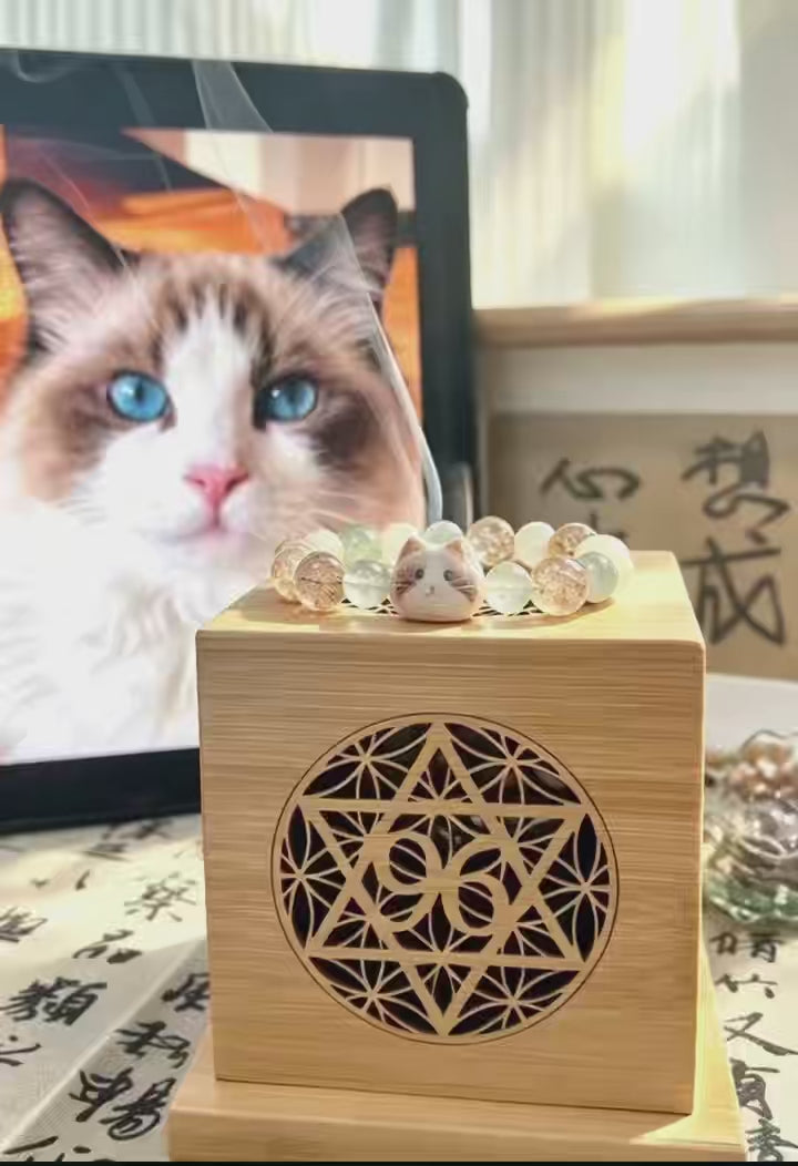 Custom Pet Portrait Five Elements Crystal Bracelet